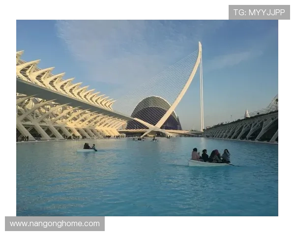 瓦伦西亚俱乐部辉煌历史与未来发展全景解析